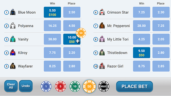 Virtual Horse Racing select a bet type and adjust the amoun.png