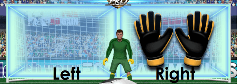 Football Madness Pro Football net during defending