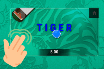 SBOTOP Live Casino  Dragon Tiger Multiplayer Place a Bet