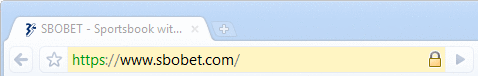 VeriSign Extended Validation SSL Certificate In Google Chrome