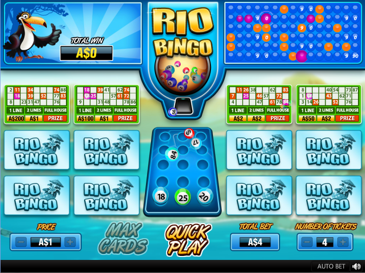 Rio Bingo playing the game Rio Bingo playing the game