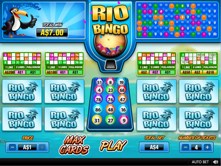 Rio Bingo winning the game Rio Bingo winning the game
