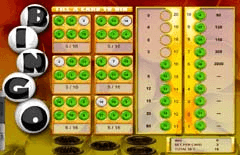 Bingo