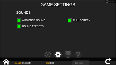 Cops and Robbers game setting page.jpg